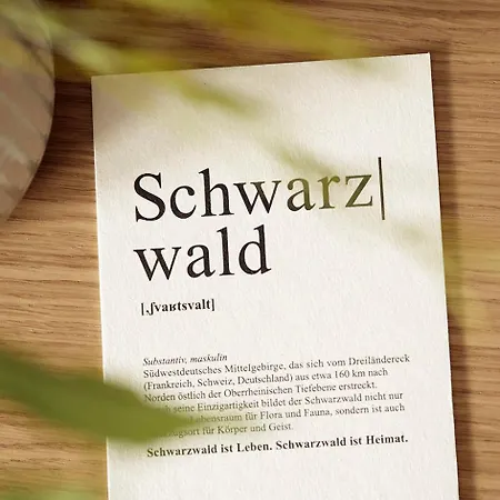 Matt - ' Design-apartment Mit Balkon * Villingen-Schwenningen
